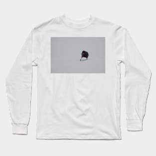 Crow in the Snow Long Sleeve T-Shirt